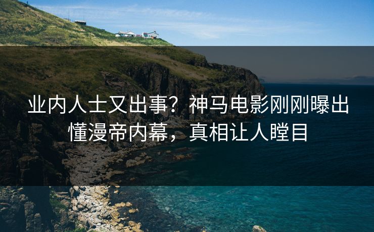 业内人士又出事？神马电影刚刚曝出懂漫帝内幕，真相让人瞠目